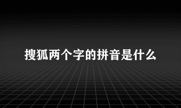 搜狐两个字的拼音是什么