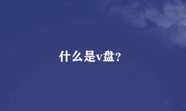 什么是v盘？