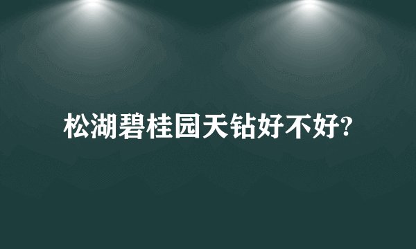 松湖碧桂园天钻好不好?