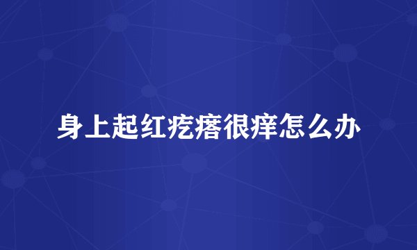 身上起红疙瘩很痒怎么办
