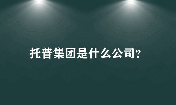托普集团是什么公司?