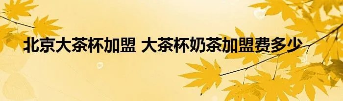 北京大茶杯加盟 大茶杯奶茶加盟费多少