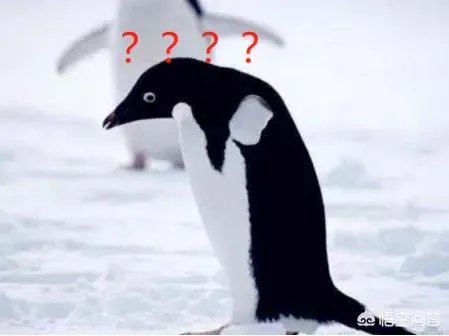 洲际导弹最大射程不足2万公里，是如何实现全球到达的？