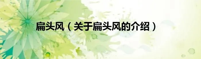 扁头风（关于扁头风的介绍）