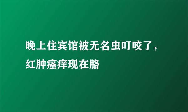 晚上住宾馆被无名虫叮咬了，红肿瘙痒现在胳