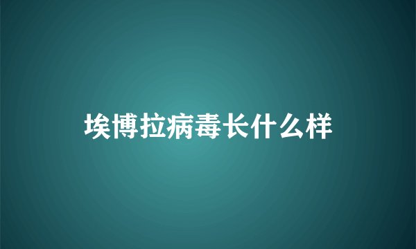 埃博拉病毒长什么样