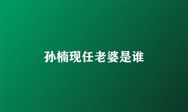 孙楠现任老婆是谁