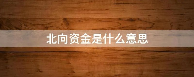 北向资金是什么意思