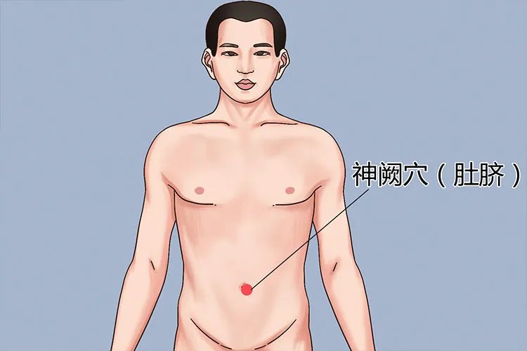 三伏贴治便秘贴哪里图解