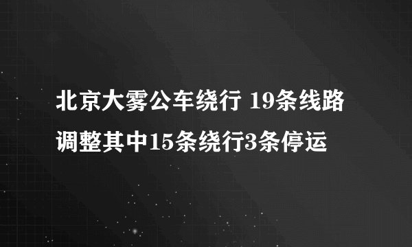 北京大雾公车绕行 19条线路调整其中15条绕行3条停运