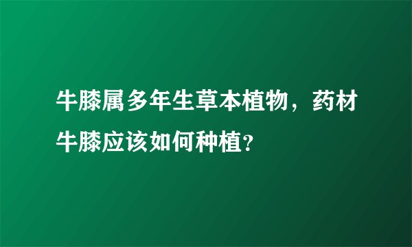牛膝属多年生草本植物，药材牛膝应该如何种植？