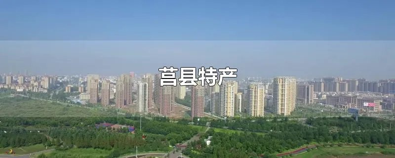 莒县特产