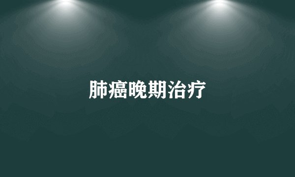 肺癌晚期治疗