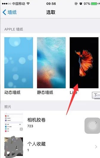 苹果的动态壁纸在照片里有声音,为何设置成壁纸就没声音了?