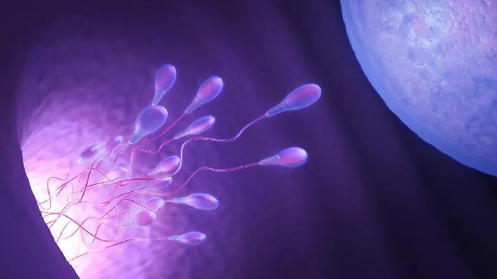 一般都有哪些男性不育检查项目呢?