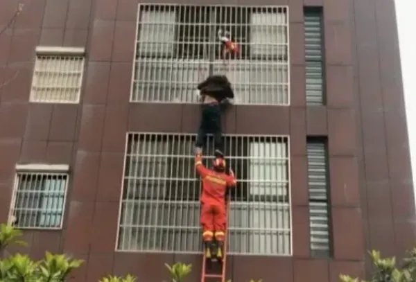 七旬老人悬挂四楼阳台外，这到底是怎么回事呢？