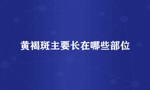 黄褐斑主要长在哪些部位