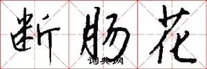 断肠花
