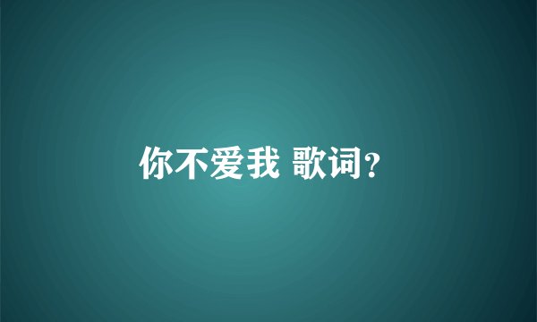 你不爱我 歌词？
