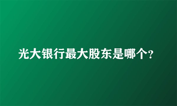 光大银行最大股东是哪个？