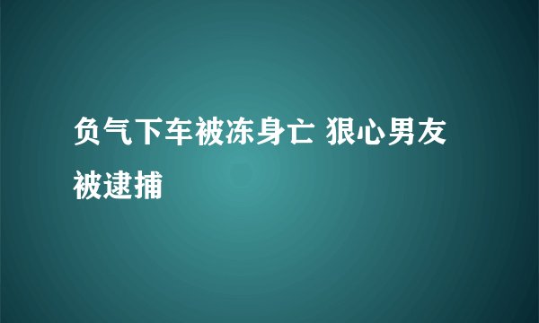 负气下车被冻身亡 狠心男友被逮捕