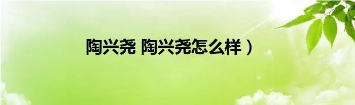 陶兴尧 陶兴尧怎么样）