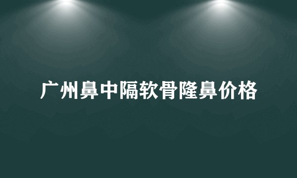 广州鼻中隔软骨隆鼻价格