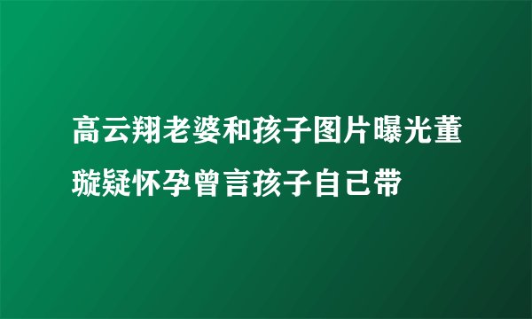 高云翔老婆和孩子图片曝光董璇疑怀孕曾言孩子自己带