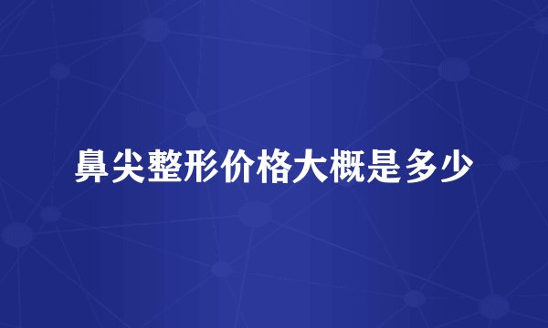 鼻尖整形价格大概是多少