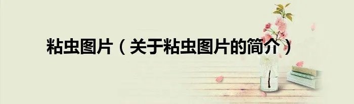 粘虫图片(关于粘虫图片的简介)