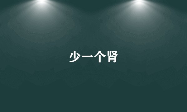 少一个肾