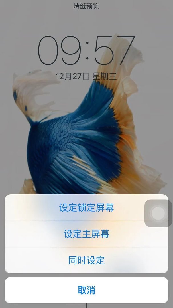 苹果的动态壁纸在照片里有声音,为何设置成壁纸就没声音了?