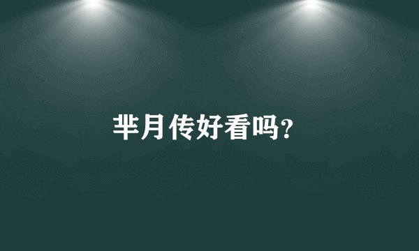 芈月传好看吗？