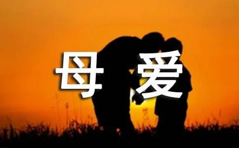 母爱的初中作文