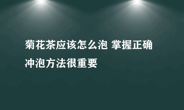 菊花茶应该怎么泡 掌握正确冲泡方法很重要