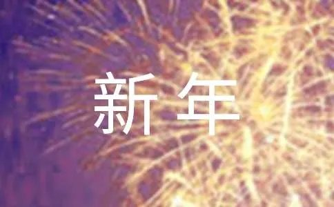 新年计划书