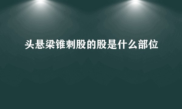 头悬梁锥刺股的股是什么部位