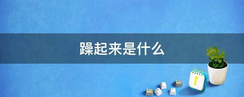 躁起来是什么