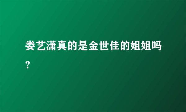娄艺潇真的是金世佳的姐姐吗？