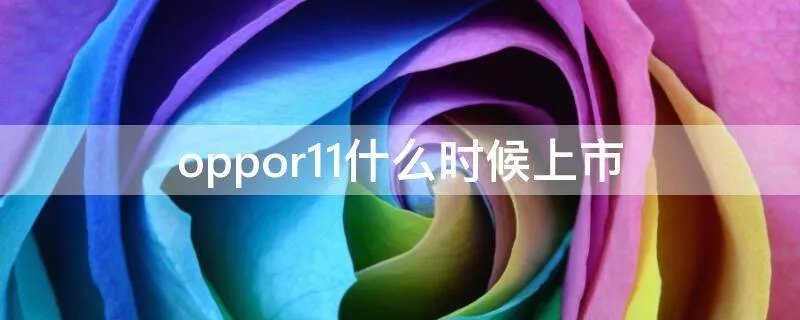 oppor11什么时候上市
