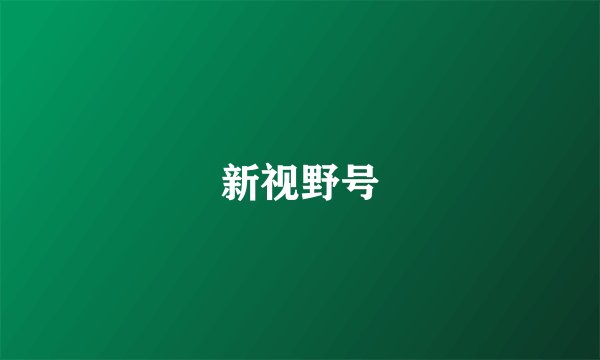 新视野号
