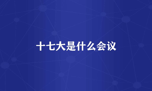 十七大是什么会议