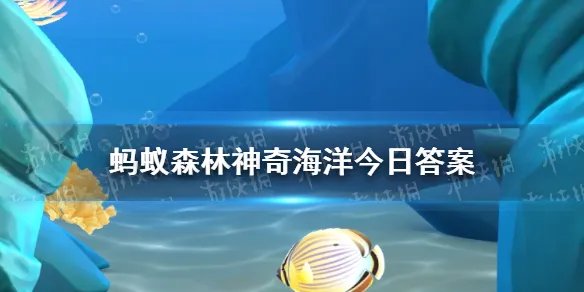 信天翁俗称呆鸥吗 俗称呆鸥的海鸟是什么