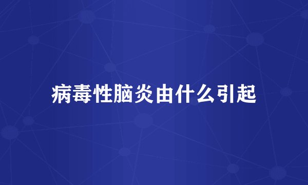 病毒性脑炎由什么引起