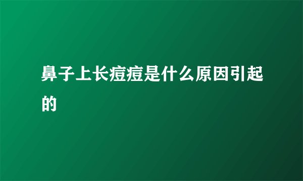 鼻子上长痘痘是什么原因引起的