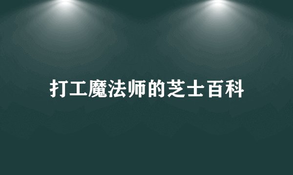 打工魔法师的芝士百科