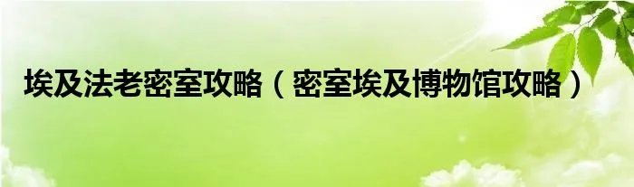 埃及法老密室攻略（密室埃及博物馆攻略）