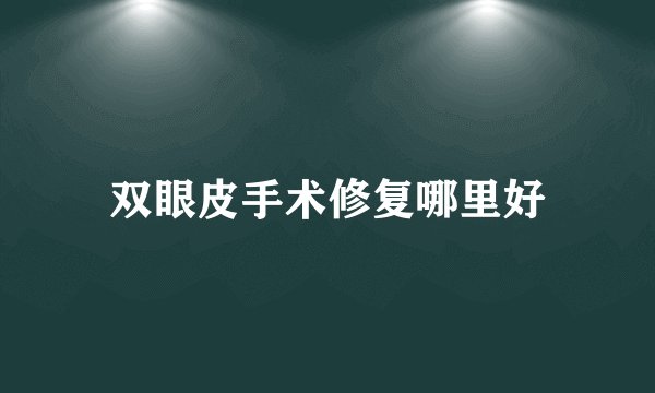 双眼皮手术修复哪里好