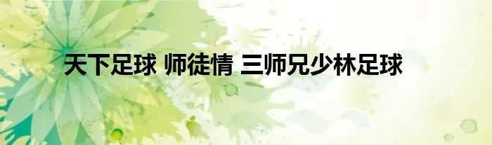 天下足球 师徒情 三师兄少林足球