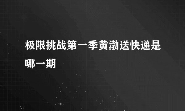 极限挑战第一季黄渤送快递是哪一期